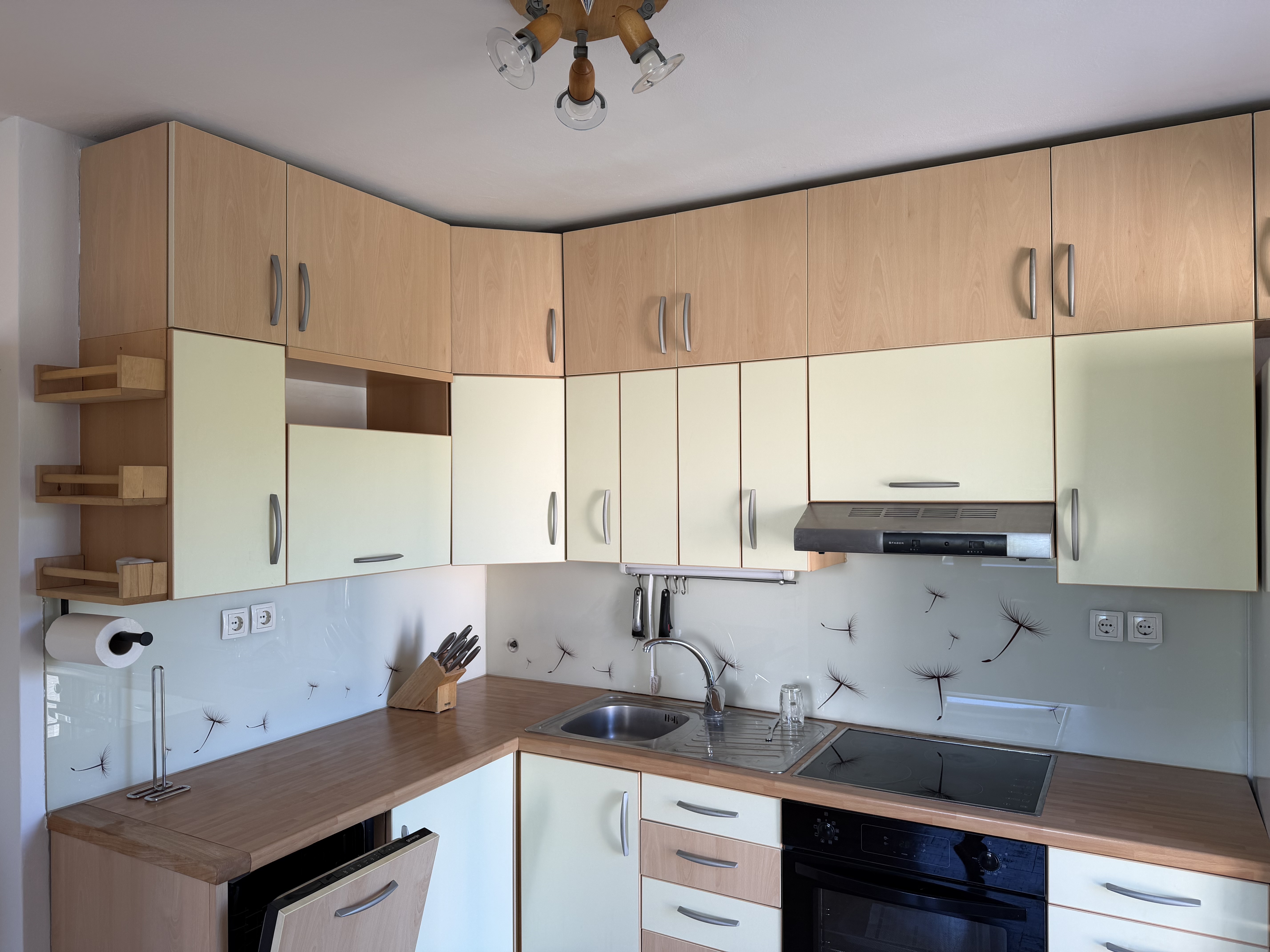 Kitchen photo 1